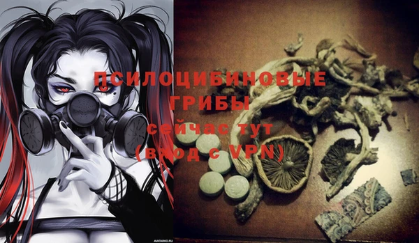 первитин Алексеевка