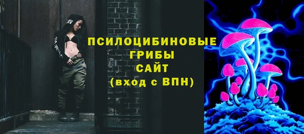 ПСИЛОЦИБИНОВЫЕ ГРИБЫ Алексин