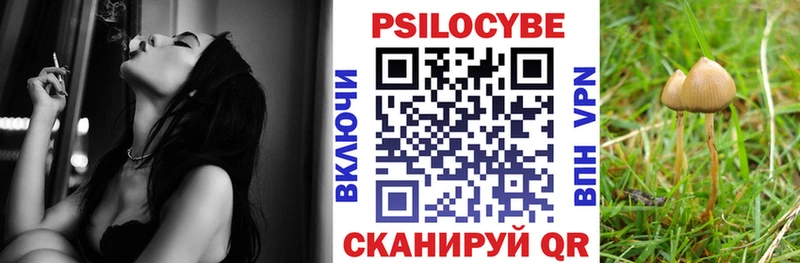 Псилоцибиновые грибы GOLDEN TEACHER  omg рабочий сайт  Узловая 